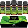 ORIGINAL NATURE'S OILS Kit de 5 aceites Esenciales de Árbol
