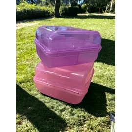 Plasvic. Juego de 2 contenedores para almacenar alimentos. Box lunch. Lonchera de plástico, con compartimentos para separar los alimentos. Incluye 2 piezas: rosa y morado.