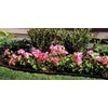 Suncast Professional Landscape Edging Roll with Double Ridge Design, 60'