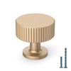 KNOKLOCK 10 Pack Kitchen Cabinet Knobs Champagne Gold Dresser Knobs