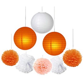 Fascola 16 pcs White Peach Orange 10inch 8inch Tissue Paper Pom Pom Paper Lanterns Mixed Package for Lavender Themed Party Bridal Shower Decor Baby Shower Decoration