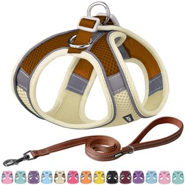 AIITLE No Pull Dog Harness and Leash Set, Step in Adjustable Dog Harness with Padded Vest for All Weather, Dog Leash with Soft Padded Handle, Easy to Put on Small and Medium Dogs Beige S