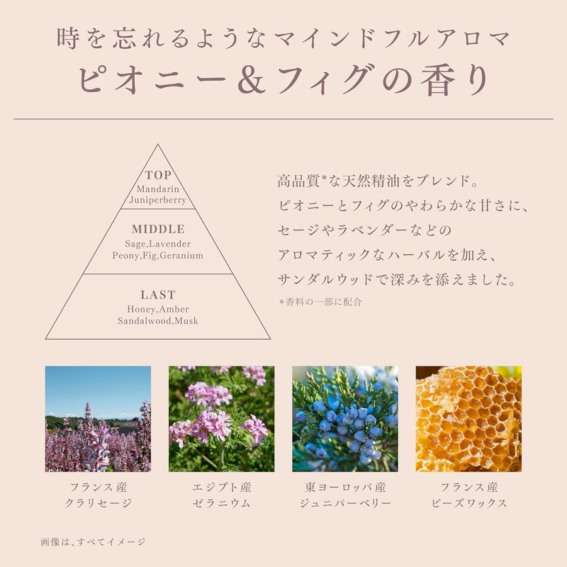 Melt Smooth Shampoo Refill 12.8 fl oz (380 ml) -