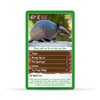 North American Wildlife Top Trumps Card Game