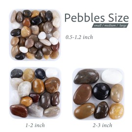 GreenVibe Large Pebbles for Indoor Plants, 10lbs Colorful Pebbles 2-3 Inch Decorative River Rocks for Planters, High Polished Stones for Vase Filler Fish Tank Landscaping Garden