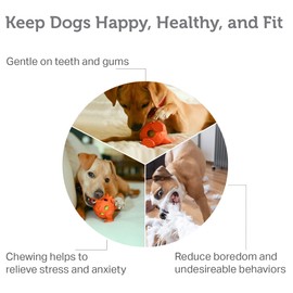 Friends Forever Squeaky Dog Toys with Tennis Ball, Tough Dog Chew Toy, Interactive Fun Indoor Play, Non-Toxic Durable Natural Rubber Puppy Teething, Dinosaur Citron/Orange 2 Piece