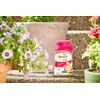 Osmocote Smart-Release Plant Food Plus Outdoor & Indoor, 1 lb.