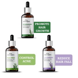 Aravi Organic Tea Tree, Lavender and Rosemary Essential Oil Combo Pack (15 ml Each) |100% Pure, Undiluted, Natural Aromatherapy, Therapeutic Grade for Healthy Skin, Face, and Hair Care