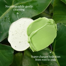 California Naturals Moisture Shampoo and Conditioner for Dry, Damaged Hair, Hair Care Bundle for Women and Men, Natural, Vegan, Cruelty, Silicone, Paraben, and Sulfate Free, Color Safe, 20 fl oz