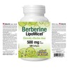 Berberine LipoMicel 500mg (120 Count (Pack of 1))