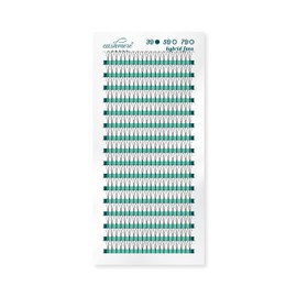 Cashmere Lashes Pre Made Fans 3D C curl 11mm Pre fanned Hybrid Flat Ellipse Individual Eyelash Extensions