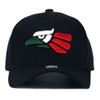 Mexican Mexico Hat Hecho En Mexico Eagle Aguila Snapback Flat