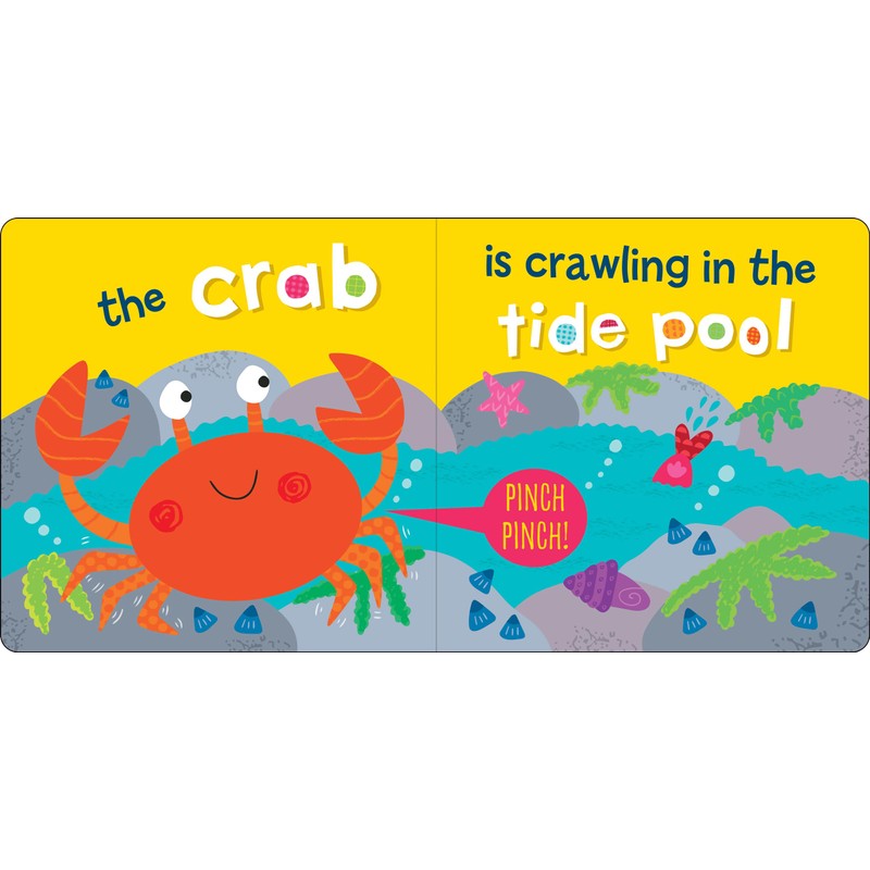 Who Is in the Ocean? Board Book