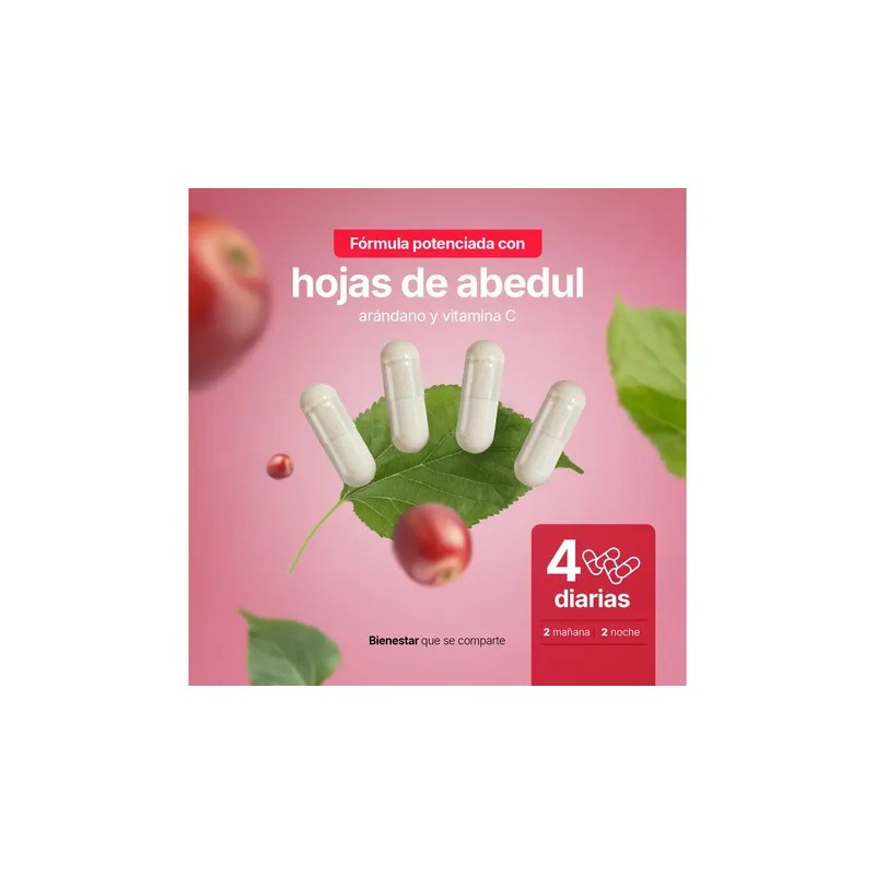 Tonic Mezcla Arándano Abedul Vitamina Cápsulas Complejo Apoyo Tracto Urinario