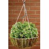 Orbit 56318 Hanging Basket Drip Irrigation Drip Watering Kit with