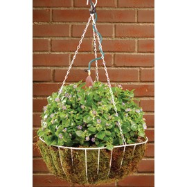 Orbit 56318 Hanging Basket Drip Irrigation Drip Watering Kit with 1-Outlet Digital Hose Faucet Sprinkler Timer