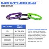 Blazin' Safety LED Dog Collar – USB Rechargeable with Water