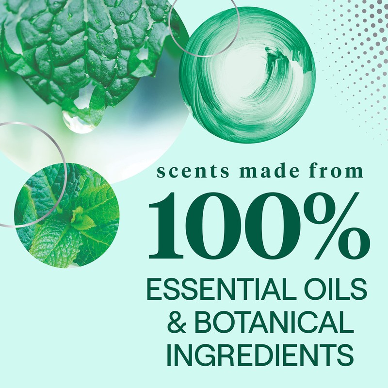 Seventh Generation Multi-Surface Cleaning Wipes, Garden Mint Scent, Cuts Grease