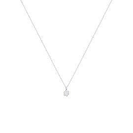 Elli Women's Necklace with Paw Pendant 925, Facet cut, No Gemstone