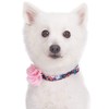 Blueberry Pet Made Well Elegant Floral Print Adjustable Dog Collar