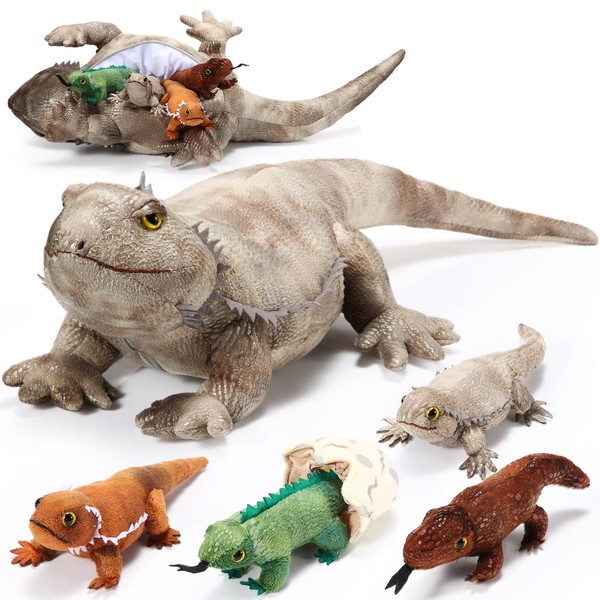 Zomiboo 5 Pieces Bearded Dragon Lizard Plush Toy Set 26