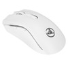 Wireless Mouse 2.4G USB Receiver 800 to 4800 DPI Ergonomic