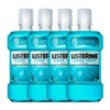 Listerine Cool Mint 750mL x 4 / 리스테린 쿨민트 750mL 4개