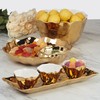 Certified International Gold Coast Chip & Dip Server 12" x