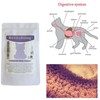 Revitalising L-Glutamine (30 servings of 500mg) for Cats by CatFurNature