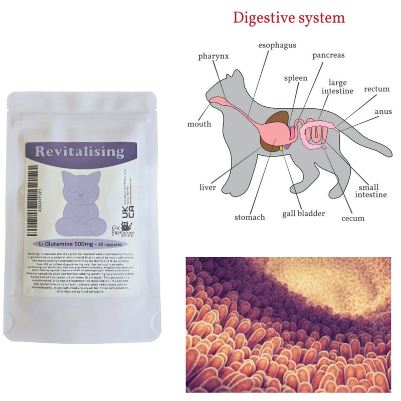 Revitalising L-Glutamine (30 servings of 500mg) for Cats by CatFurNature