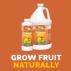 Bloom City's Organic Citrus & Fruit Fertilizer for Fruit Trees