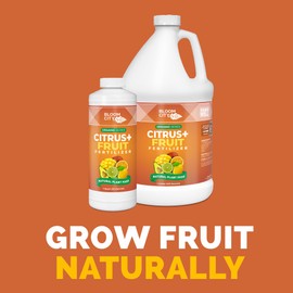 Bloom City's Organic Citrus & Fruit Fertilizer for Fruit Trees - Citrus Tree Fertilizer for Potted Trees - Perfect Lemon Tree Fertilizer, Gallon (128 oz)