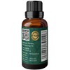 Aryan Herbals Turmeric (Haldi) Oil, Essential Oil for Aromatherapy &
