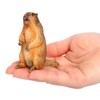 LOVIVER 4x Groundhog Model Figures Groundhog Desktop Ornaments Home Decor