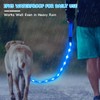 Weesiber Glowing Light Up LED Dog Leash - 4ft USB