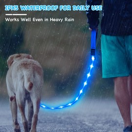 Weesiber Glowing Light Up LED Dog Leash - 4ft USB Rechargeable Flashing Nylon Leash for Small Medium Large Dogs, 3 Flash Modes (Blue)
