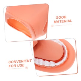 VILLFUL Dental Tooth Model Medical Teaching Demonstration Teeth Model for Brushing Education School Clinic Tool