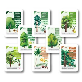 Baum-Quartett: 32 Karten