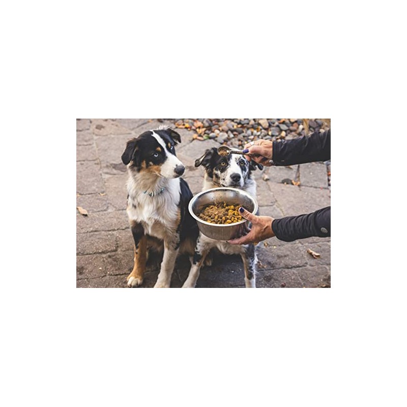 Omega Canine Shine, 2 Lb Bag