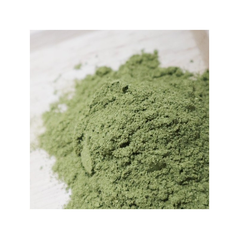 참두리 어성초 분말 가루 200g (국내산) Chamdu-ri houttuynia cordata powder