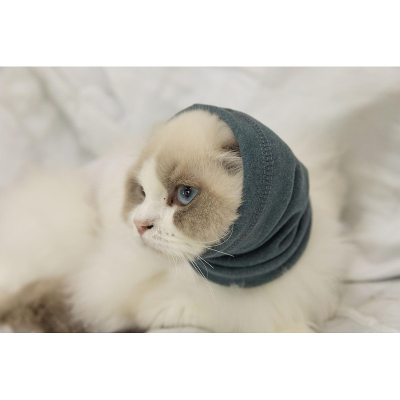 DDFS Cat Ear Cover Ear Wrap Hematoma Compression Keep Calm