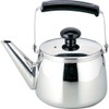 Wahei Freiz SR-9740 Round Teapot with Straight Handle, 23.6 fl