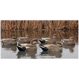 Avian-X Topflight Gadwall Decoys (Pk/6)