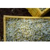 FLOR DE LA PAZ Pureza, infusión herbal orgánica de manzanilla,