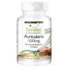 Fairvital Auricularia 500 mg – 90 Capsules – 500 mg