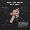 Just Ingredients NAD+ Complex – Ageless Support Supplement for Cellular