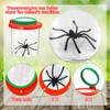 Insert Bug Viewer for Kids, 4PCS Magnifying Insect Box Bug