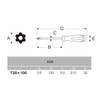 ANEX No.6300 Hexalobe Screwdriver, With Hole, T20 x 3.9 Inches