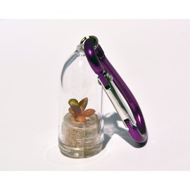 Flower Necklace Terrarium Live Succulent - Pinky - Live Cacti Succulent Plant Necklace Keychain- Living Plants Neckalce Terrarium Capsule - Boo-Boo Plant (Pinky, with Purple Clip)
