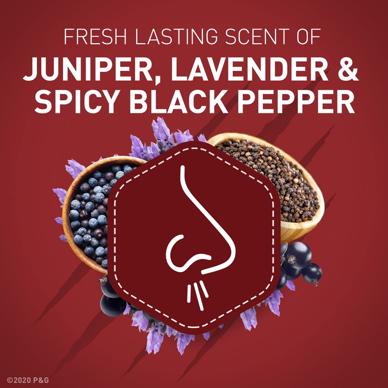 Old Spice Aluminum Free Deodorant for Men, ElkLord, 48 Hr.